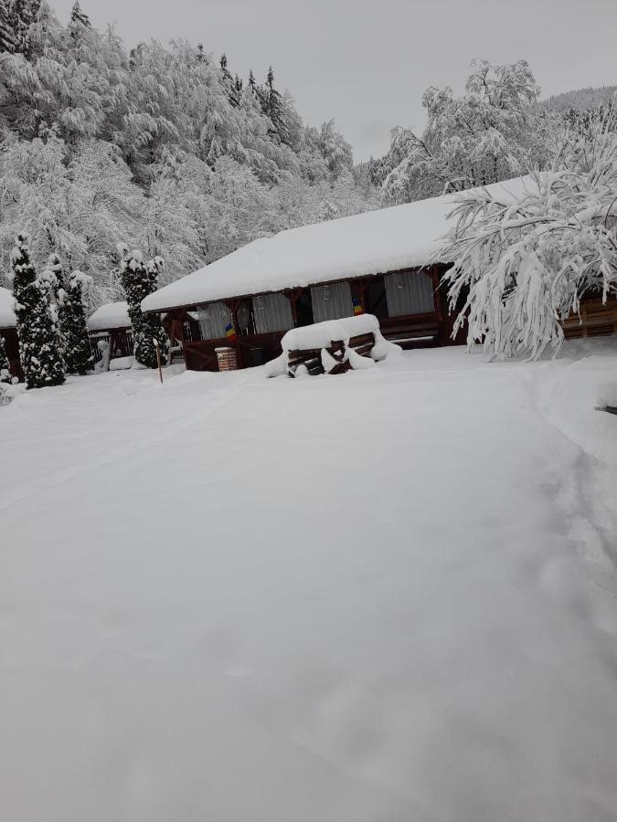 Hotel Pensiunea La Padure Cheia, Prahova Măneciu Exterior foto